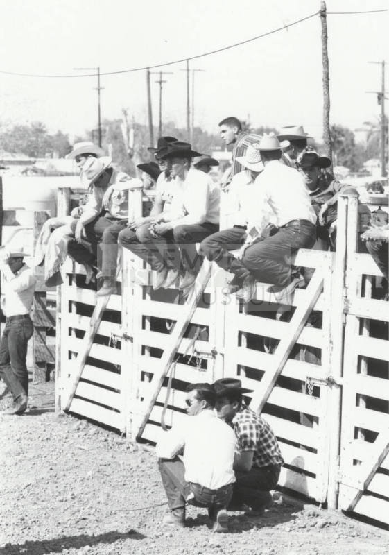 Spectators on Stock Gates