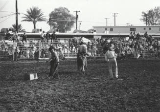 Rodeo Clowns Performing at the Rodeo