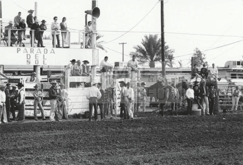 Spectators at the Rodeo
