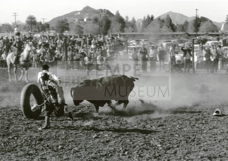 Clowns Draw Bull Away From Downed Rider at the Rodeo