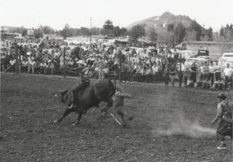 Bull Rider at the Rodeo