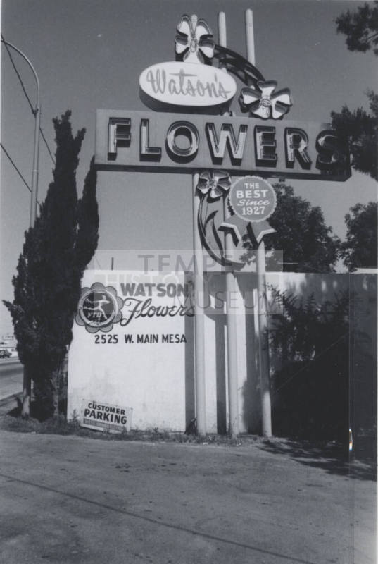 Watson's Flowers - 2425 East Apache Boulevard - Tempe, Arizona