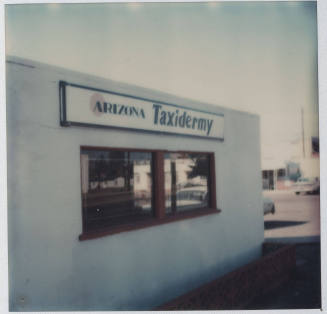 Arizona Taxidermy - 1711 East Apache Boulevard, Tempe, Arizona