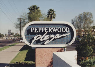 Pepperwood Plaza - 825 West Baseline Road - Tempe, Arizona