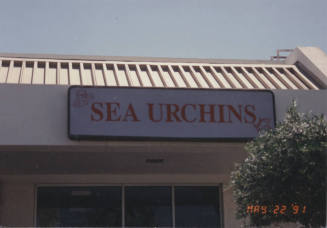 Sea Urchins, 1801 E. Baseline Road, Tempe, Arizona
