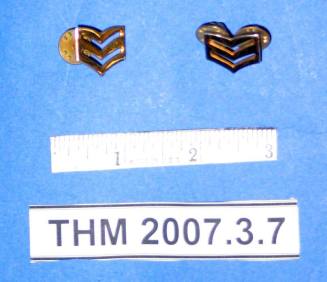 Pin, Tempe Police Sergeant