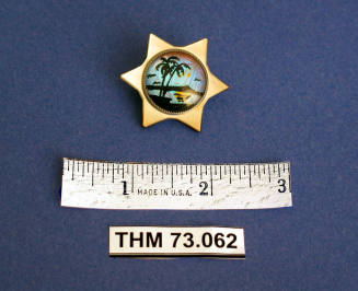 Six-pointed star pin with tropical scene