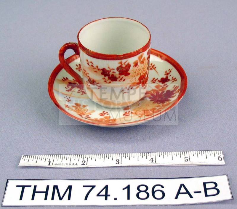 Hand painted Porcelain Cup and Saucer