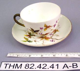 Porcelain Teacup and Saucer with Fall design