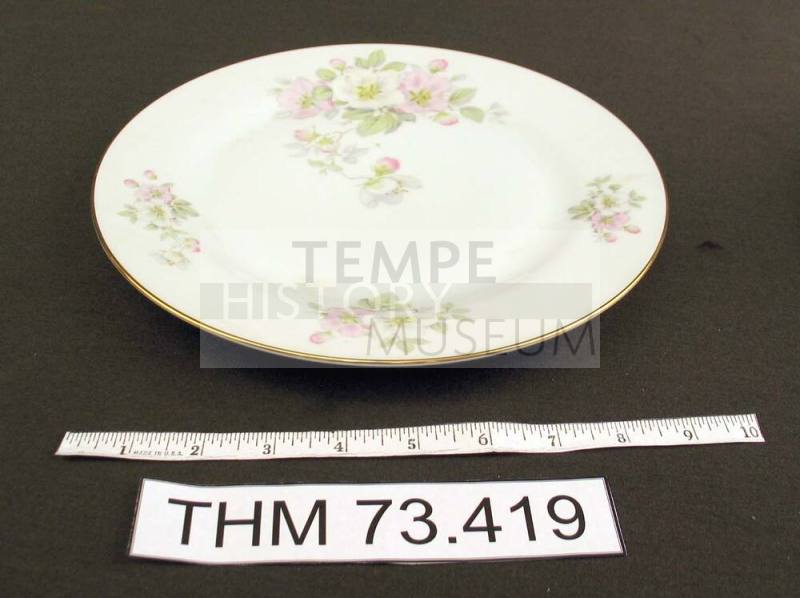 Dinner Plate with Apple Blossom Design