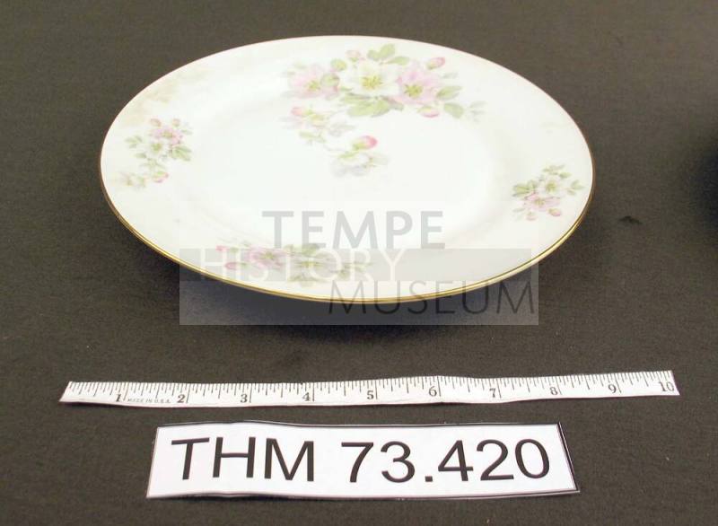Dinner Plate with Apple Blossom Design