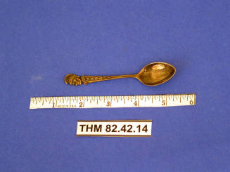 Souvenir Spoon, Hawaii
