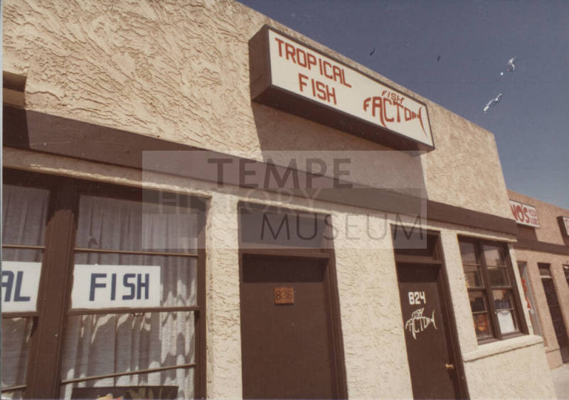 Fish Factory - 824 South Mill Avenue - Tempe, Arizona