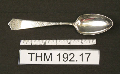 WB & Co Serving Spoon