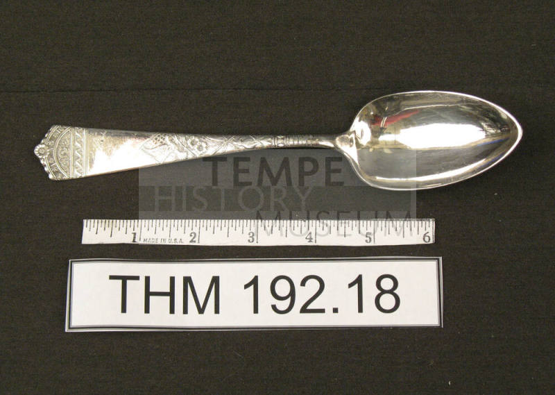 WB & Co Serving Spoon