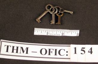 Keys, in key ring
