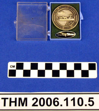 Tempe, AZ Centennial Medallion.