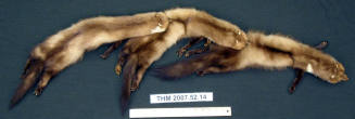 Three-Fox Fur Stole - Irene Benedict