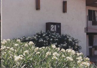Allstar Inns  - 1612  North Scottsdale Road, Tempe, Arizona