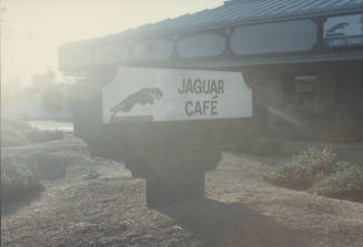 Jaguar Café - East Broadway Road, Tempe, Arizona