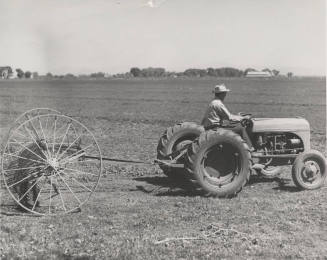 Leo Ramsey on Tractor Pulling Hay Rake