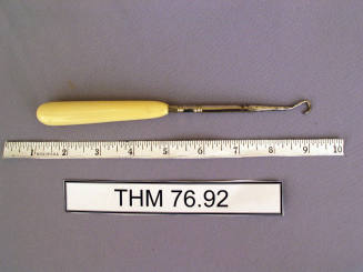 Buttonhook with ivory handle
