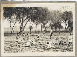 Rural School 1920 Agriculture
