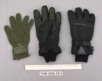 Chuck King's musher gloves with liner