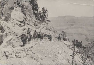Mules on Bright Angel Trail at the Grand Canyon