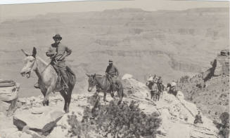 Mules, Bright Angel Trail, Grand Canyon