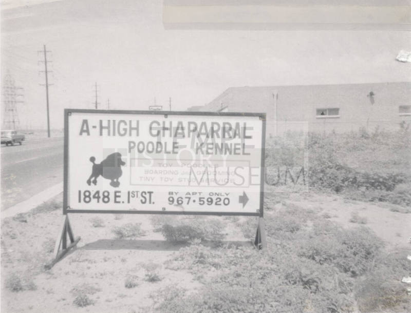 A- High Chaparral Kennel - 200 South Hayden Road, Tempe, Arizona