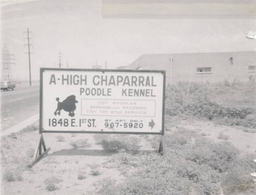 A- High Chaparral Kennel - 200 South Hayden Road, Tempe, Arizona