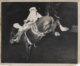 Rider on Bucking Horse