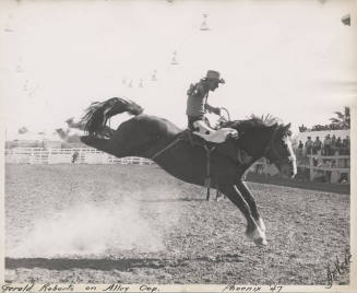 B/W photo of Gerald Roberts on Ally Oop at the 1947 Phoenix Rodeo