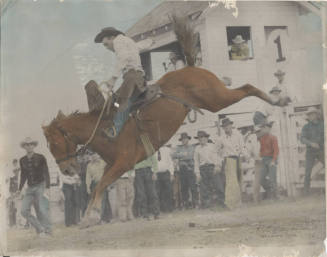 Colorized Photo of Frank Finley on a bucking horse named "Yehudi"