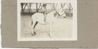 Young Boy Astride a Horse in the Country