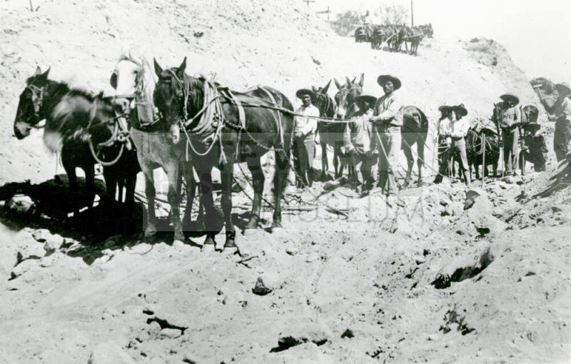 Work Crew with Mules on Canal Site