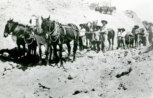 Work Crew with Mules on Canal Site