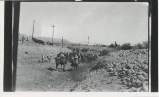 Canal Construction Workers with Mules