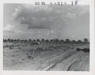 Plowed Field at University of Arizona Experimental Farm