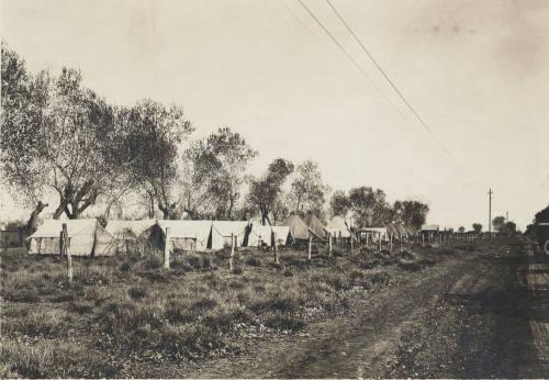 Hudson Cotton Camp at Southern and Rural