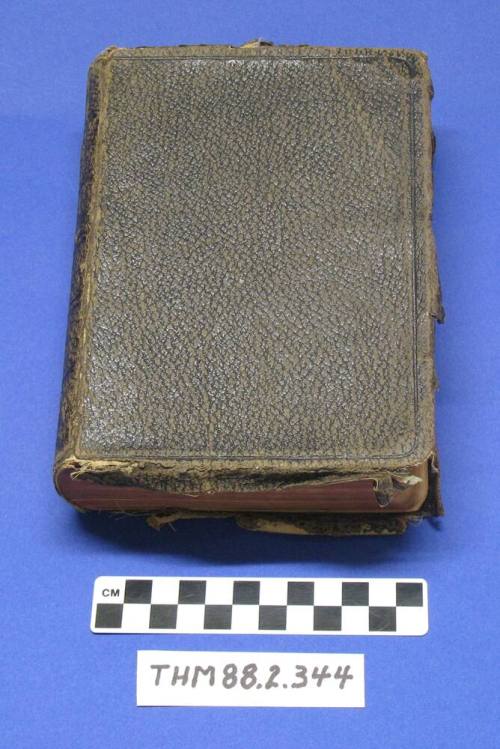 Howard Pyle's Bible, 1919