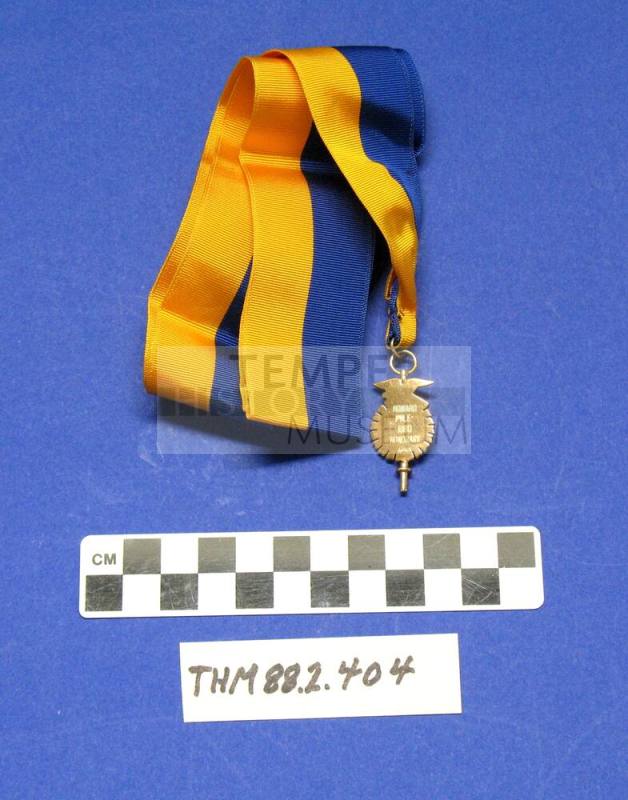 FFA Pendant on gold and blue ribbon