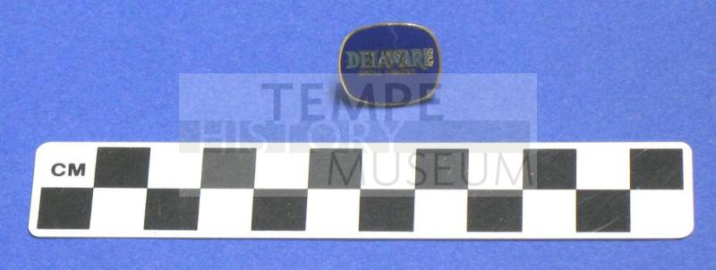 Oval blue "Delaware" lapel pin