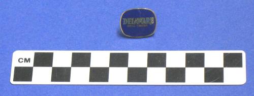 Oval blue "Delaware" lapel pin