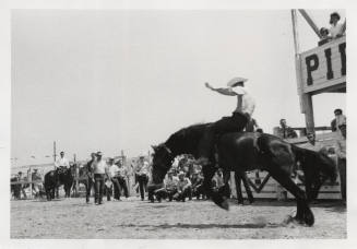 Jaycees Western Days:  Rodeo Rider