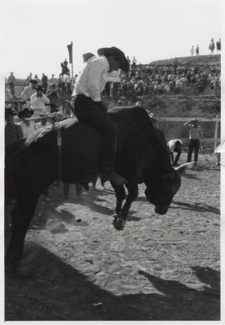 Jaycees Western Days:  Bull Rider