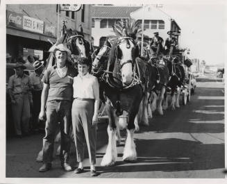 Mill Avenue Parade:  Budweiser Wagon