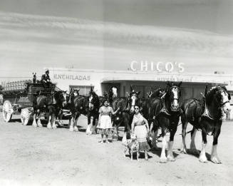 Mill Avenue Parade:  Budweiser Wagon at Chico's Restaurant