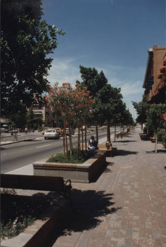 Mill Avenue in Downtown Tempe Looking North